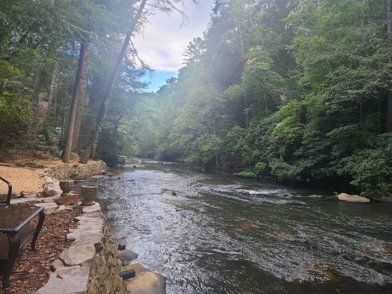 Wooded mountain stream running past a stone wall and seating area